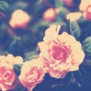 Meet your Posher, Jasmin